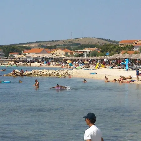 - Pedinka 294e * Vir