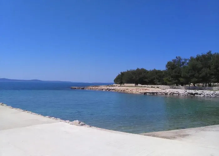 - Pedinka 294e * Vir