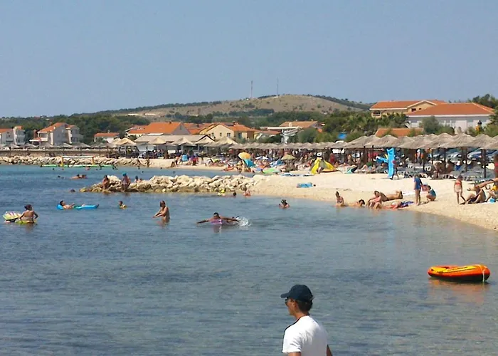 - Pedinka 294e * Vir